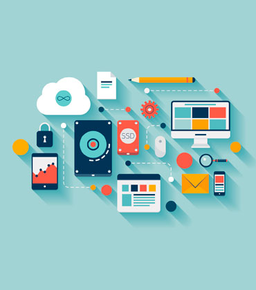 Web Design & Development